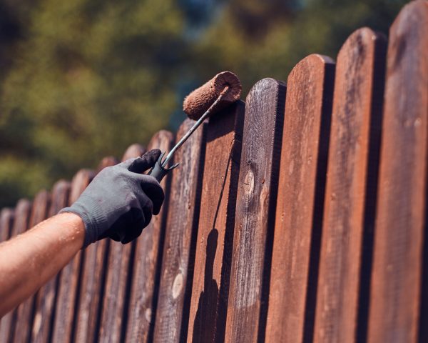 Man in protective gloves is painting wooden fence in bright summer day.